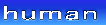Human 